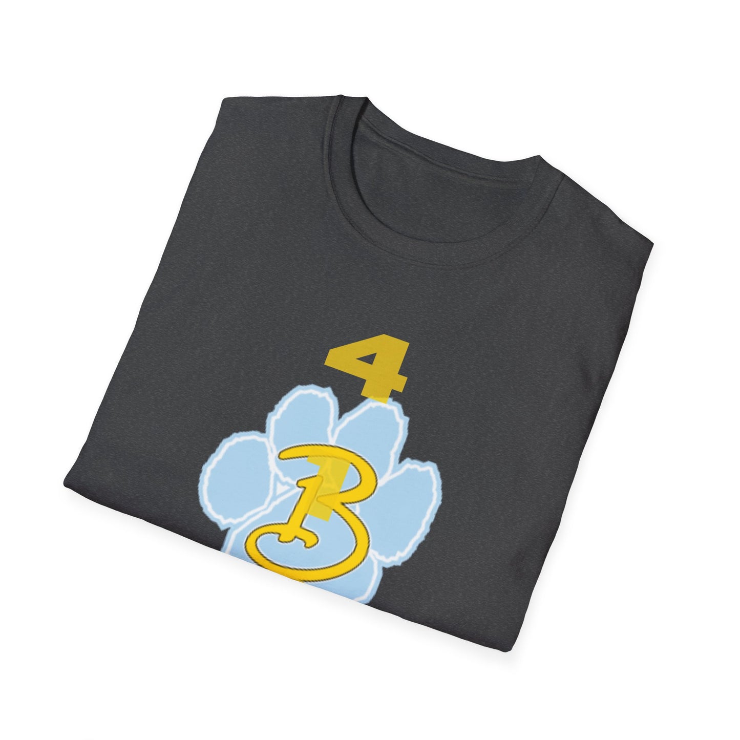 Bath 419 Logo Shirt